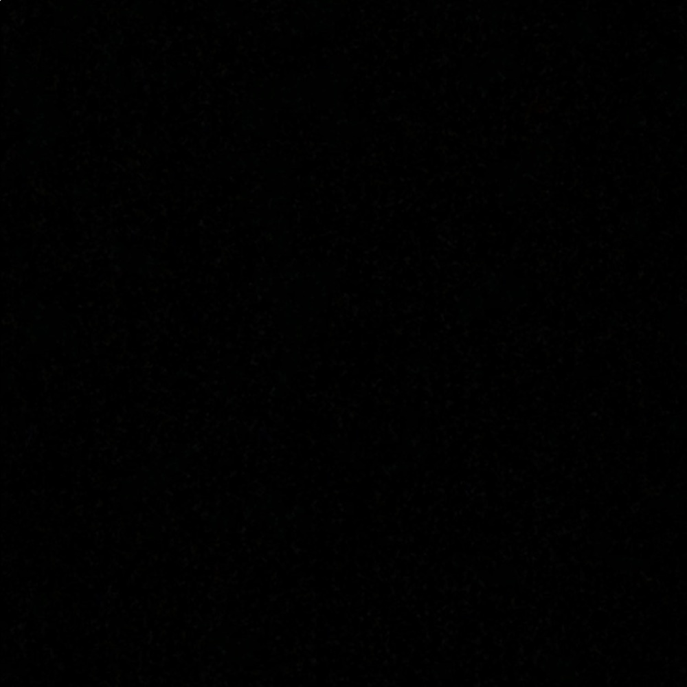 Meet your Posher, Patty